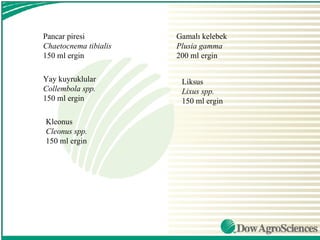 Pancar piresi          Gamalı kelebek
Chaetocnema tibialis   Plusia gamma
150 ml ergin           200 ml ergin

Yay kuyruklular         Liksus
Collembola spp.         Lixus spp.
150 ml ergin            150 ml ergin

Kleonus
Cleonus spp.
150 ml ergin
 