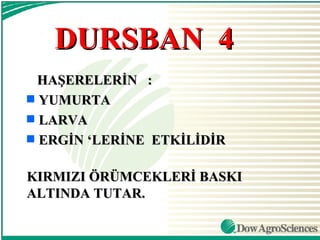 DURSBAN 4
  HAŞERELERİN :
s YUMURTA
s LARVA
s ERGİN ‘LERİNE ETKİLİDİR


KIRMIZI ÖRÜMCEKLERİ BASKI
ALTINDA TUTAR.
 