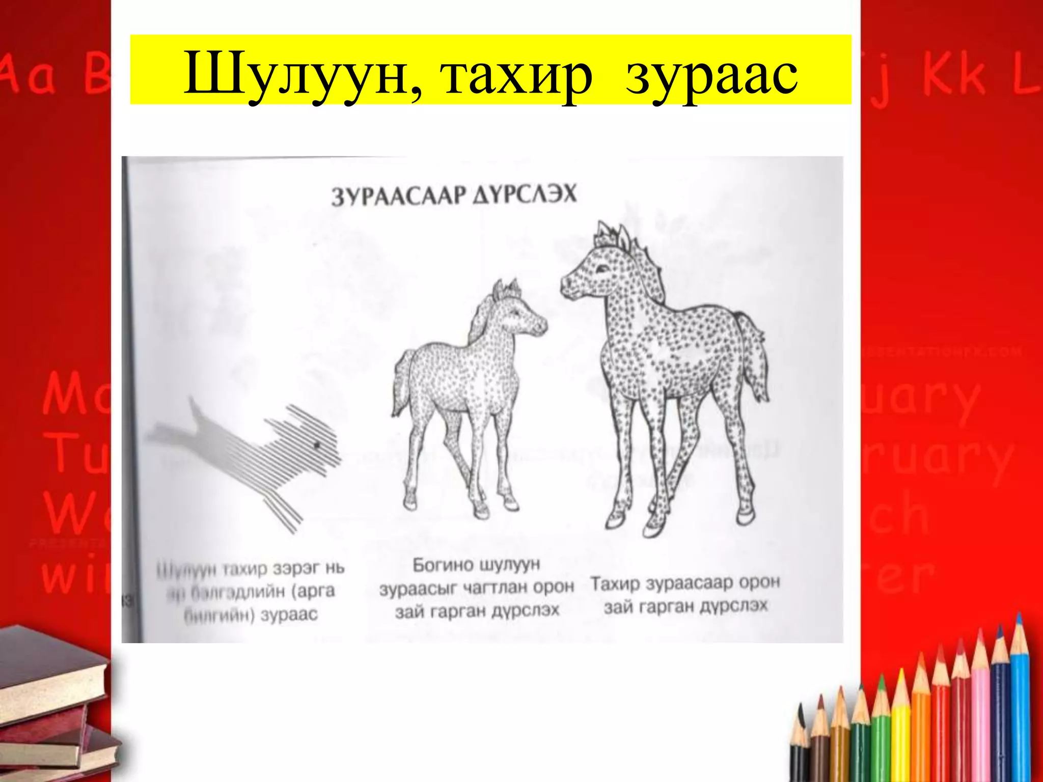 Шулуун, тахир зураас
 