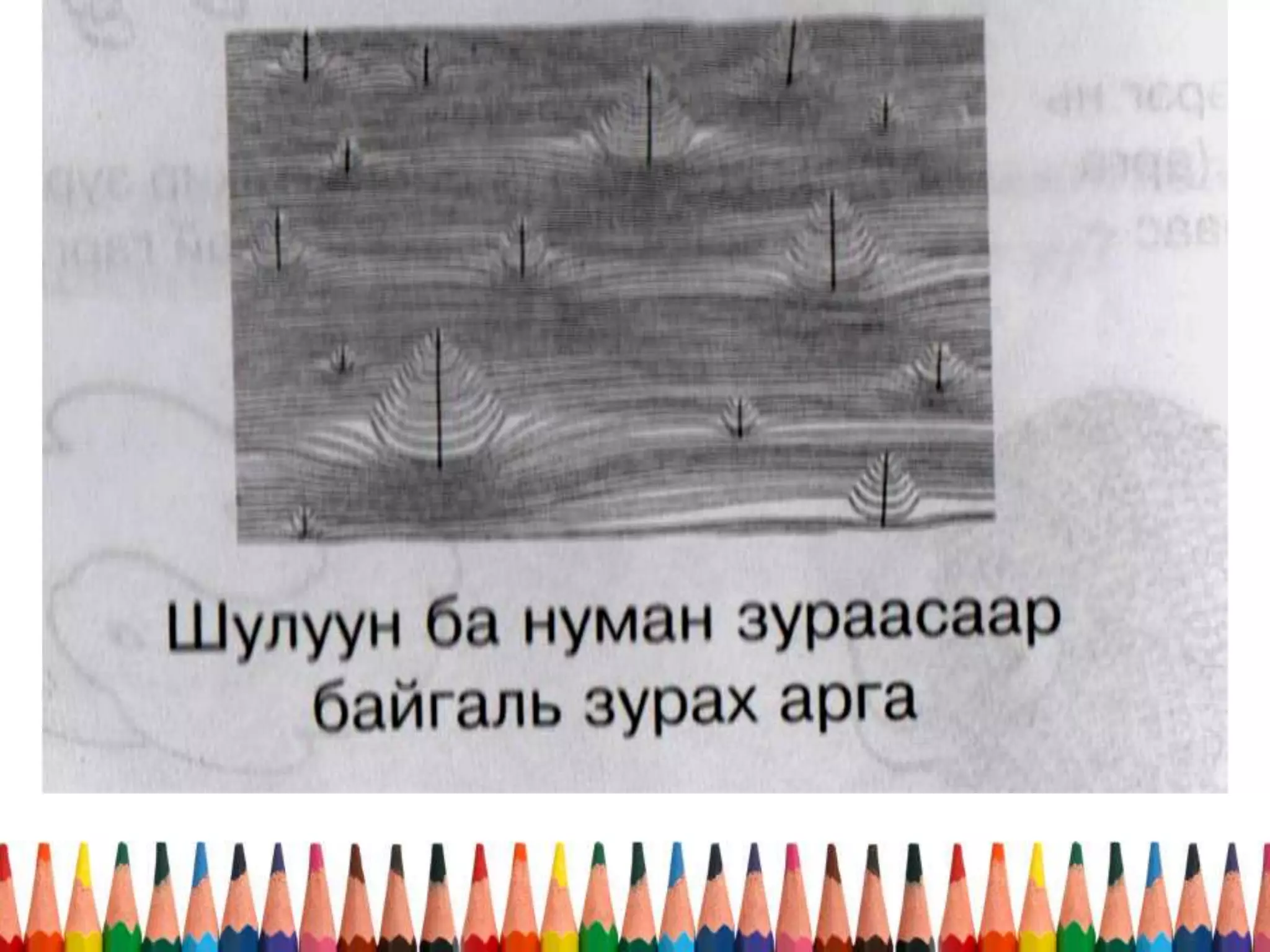 Dursleh urlag tsahim1