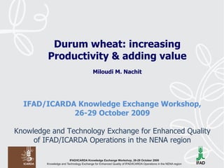 IFAD/ICARDA Knowledge Exchange Workshop, 26-29 October 2009   Knowledge and Technology Exchange for Enhanced Quality of IFAD/ICARDA Operations in the NENA region Durum wheat: increasing Productivity & adding value Miloudi M. Nachit 