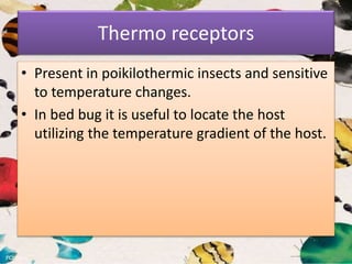 Thermo receptors
• Present in poikilothermic insects and sensitive
to temperature changes.
• In bed bug it is useful to locate the host
utilizing the temperature gradient of the host.
 