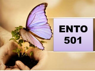 ENTO
501
 