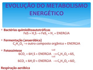 Bactérias quimiolitoautotróficas FeS + H 2 S    FeS 2  + H 2  + ENERGIA Fermentação (anaeróbica) C 6 H 12 O 6     outro composto orgânico + ENERGIA Fotossíntese 6CO 2  + 6H 2 S + ENERGIA    C 6 H 12 O 6  +   6S 2 6CO 2  + 6H 2 O + ENERGIA    C 6 H 12 O 6  +   6O 2 Respiração aeróbica C 6 H 12 O 6  + 6O 2     6CO 2  + 6H 2 O + ENERGIA EVOLUÇÃO DO METABOLISMO ENERGÉTICO LUZ LUZ 