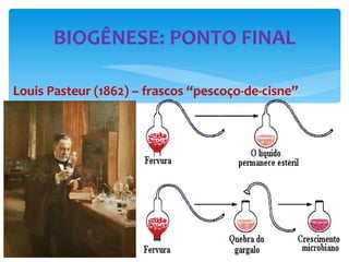 Louis Pasteur (1862) – frascos “pescoço-de-cisne” BIOGÊNESE: PONTO FINAL 