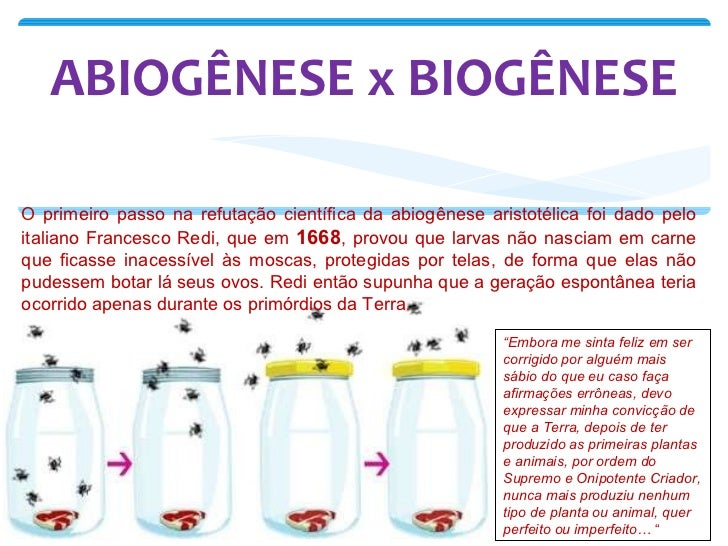 Qual Das Seguintes Alternativas Corresponde à Teoria Da Abiogênese
