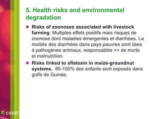 What risks do agricultural interventions entail for nutrition? A literature review and recent results from West Africa