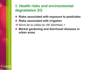 What risks do agricultural interventions entail for nutrition? A literature review and recent results from West Africa