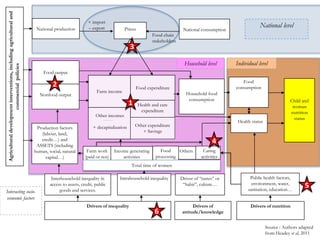What risks do agricultural interventions entail for nutrition? A literature review and recent results from West Africa