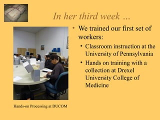 In her third week … We trained our first set of workers: Classroom instruction at the University of Pennsylvania Hands on training with a collection at Drexel University College of Medicine Hands-on Processing at DUCOM 