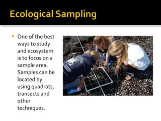 Habitats, Environment and Survival | PPT