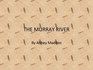 THE MURRAY RIVER By Abbey Madden 