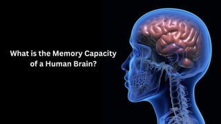 What is the Memory Capacity
of a Human Brain?
 