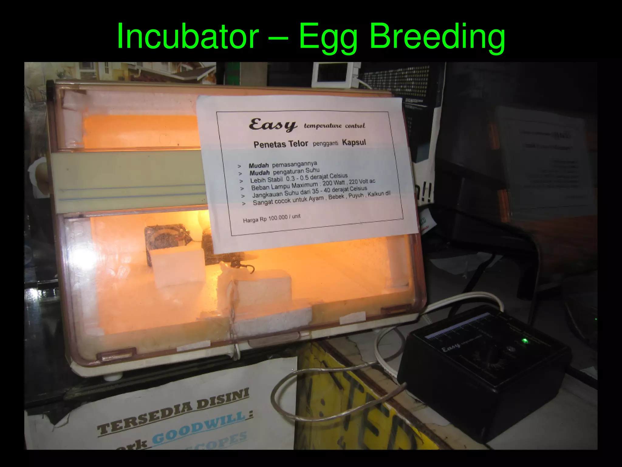    
Incubator – Egg Breeding
 