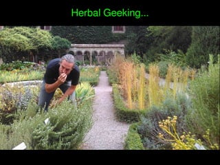    
Herbal Geeking...
 