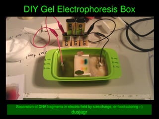    
DIY Gel Electrophoresis Box
Separation of DNA fragments in electric field by size/charge, or food coloring :­)
dusjagr
 