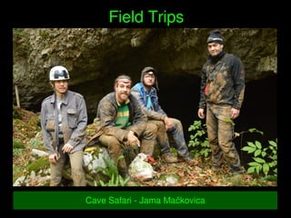    
Field Trips
Cave Safari ­ Jama Mačkovica
 