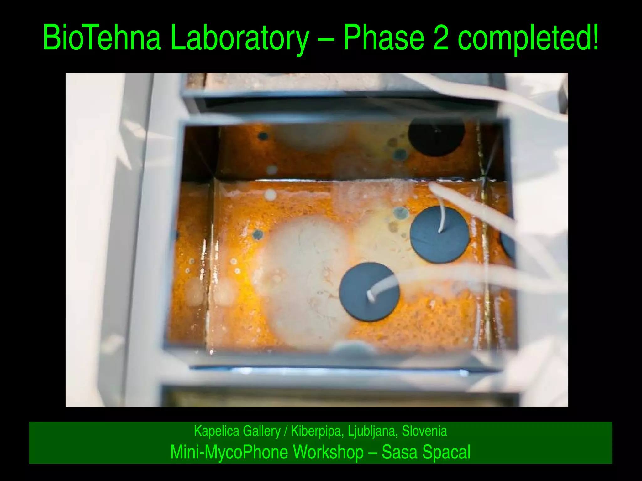 BioTehna Laboratory – Phase 2 completed! 
Kapelica Gallery / Kiberpipa, Ljubljana, Slovenia 
Mini­MycoPhone 
Workshop – Sasa Spacal 
 
