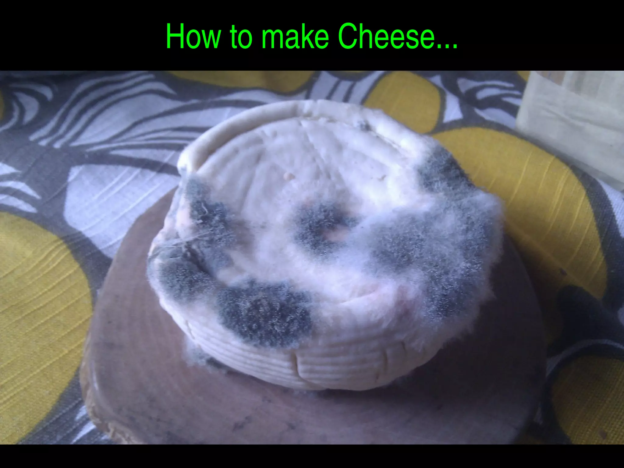 How to start a Bio/Art/Hack Community Lab 
Everywhere in te world... 
All of you! 
 