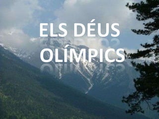 ELS DÉUS OLÍMPICS