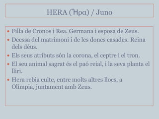 HERA (Ἥρα) / Juno

 Filla de Cronos i Rea. Germana i esposa de Zeus.
 Deessa del matrimoni i de les dones casades. Reina
  dels déus.
 Els seus atributs són la corona, el ceptre i el tron.
 El seu animal sagrat és el paó reial, i la seva planta el
  lliri.
 Hera rebia culte, entre molts altres llocs, a
  Olímpia, juntament amb Zeus.
 