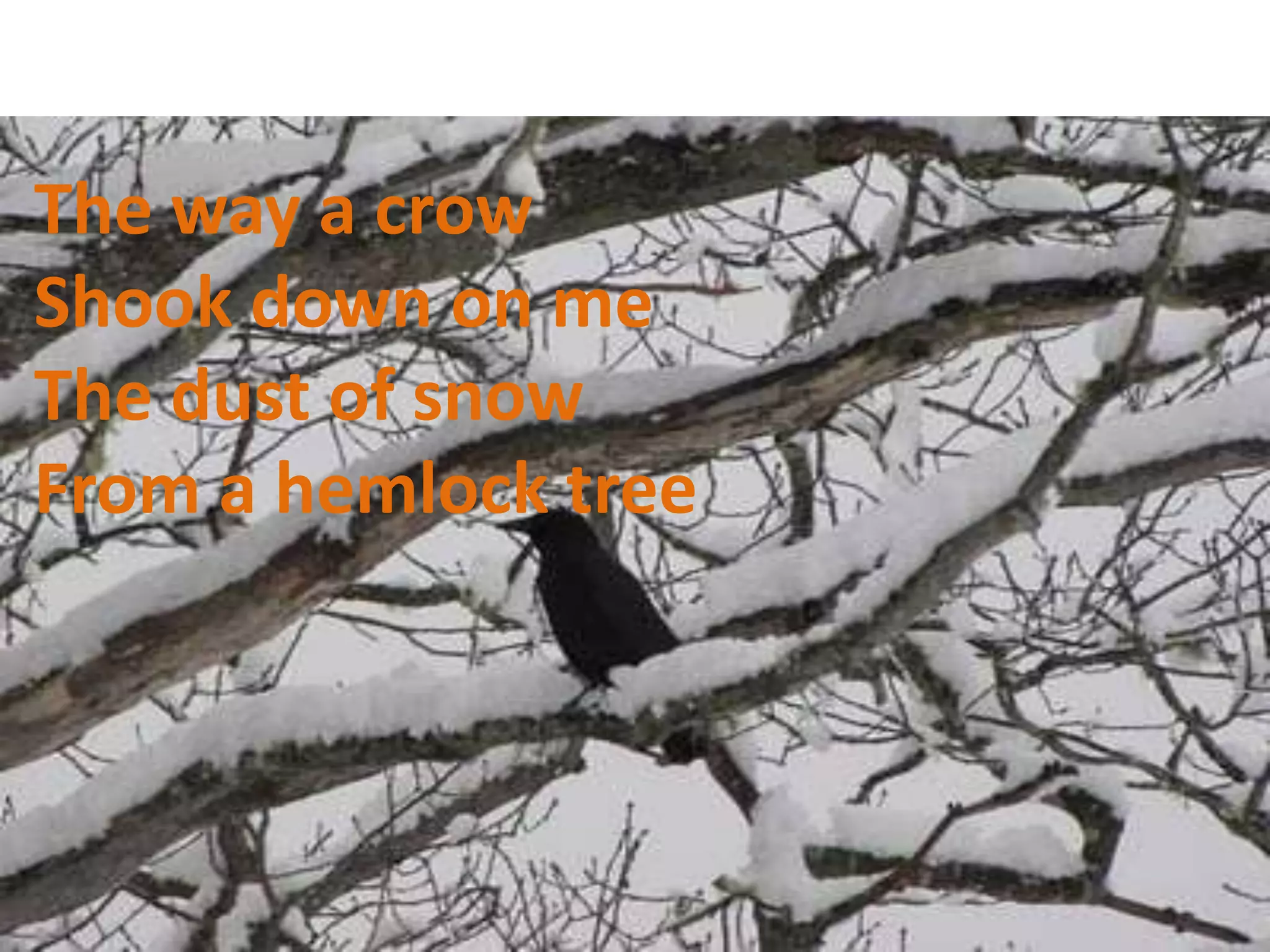 The way a crow
Shook down on me
The dust of snow
From a hemlock tree