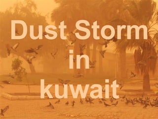 Dust Storm  in  kuwait 
