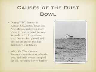 Causes of the Dust
Bowl
• During WWI, farmers in
Kansas, Oklahoma, Texas, and
New Mexico had grown more
wheat to meet demand for food
for soldiers. To Expand crop
land, farmers had plowed and
torn up the grasses that had
maintained soil stability.
• When the War was over,
livestock was re-introduced to the
area, and their hooves trampled
the soil, loosening it even further.
 
