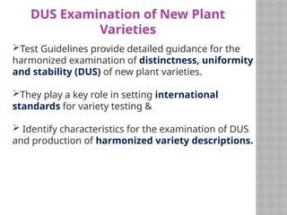 Dus Testing Comprehensive Guide to DUS Testing and Test Guidelines for New Plant ...
