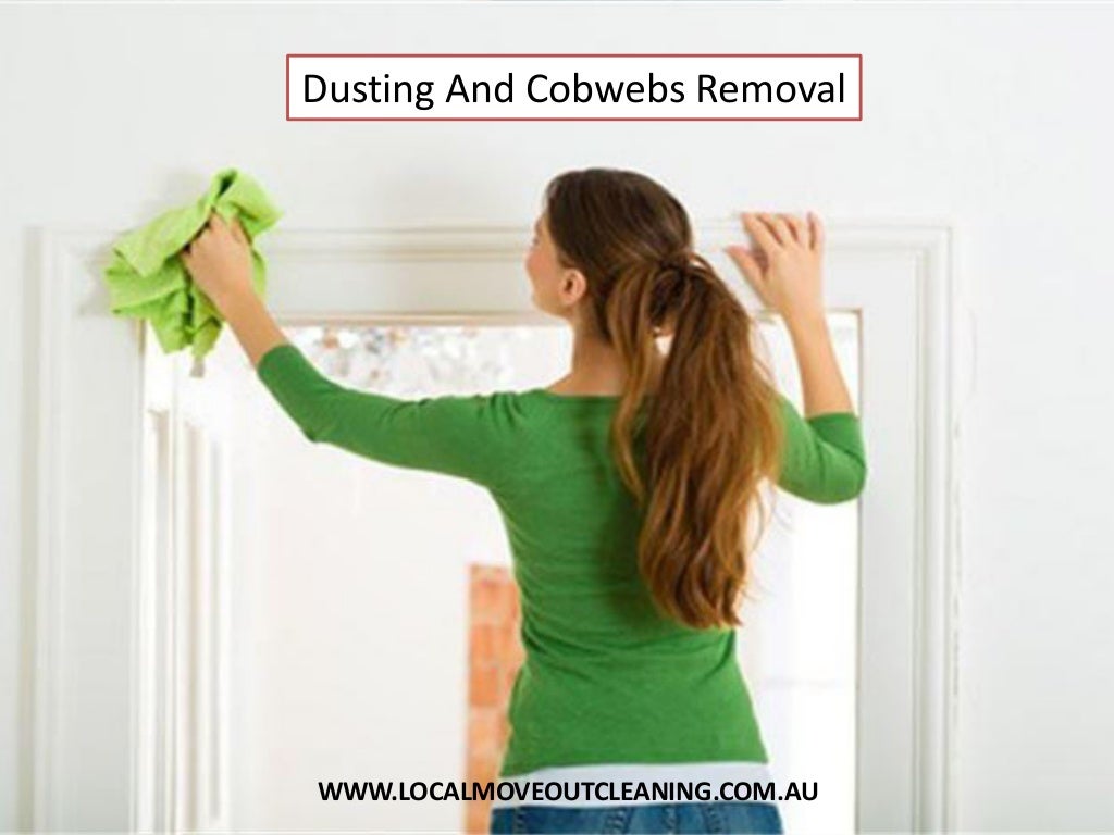 Dusting And Cobwebs Removal Local Move Out Cleaning