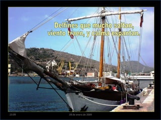 Delfines que mucho saltan, viento traen, y calma espantan. 23:09 28 de enero de 2009 