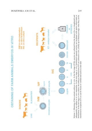   219DUSZEWSKA A.M. ET AL.
Scheme1.Obtainingoffarmanimalsembryosinvitro.Inthefirststage(IVM),oocytesarecollectedfromthedonors(liveorslaughtered)and
subsequentlyaresubjecttoinvitromaturation.Inthenextstageinvitrofertilizationmaturedoocytesareincubatedwithspermwhichleadsto
fertilization.Inthelaststageinvitroculture,theembryosobtainedfromIVFareculturedinvitro,usuallyuptoblastocyststage,whentheycanbe
transferredtorecipients(ET)orcanbefrozenorvitrifiedandusedatalaterdate
 