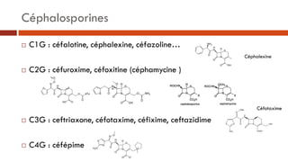 Céphalosporines
 C1G : céfalotine, céphalexine, céfazoline…
 C2G : céfuroxime, céfoxitine (céphamycine )
 C3G : ceftria...