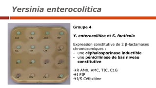 Groupe 4
Y. enterocolitica et S. fonticola
Expression constitutive de 2 β-lactamases
chromosomiques :
- une céphalosporina...