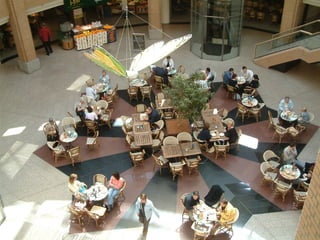 Dutch culture. Students Strabrecht College created a presentation to prepare an exchange