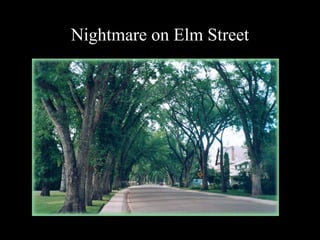 Nightmare on Elm Street
 