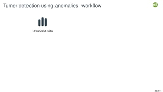 Tumor detection using anomalies: workflow
20 / 61
 