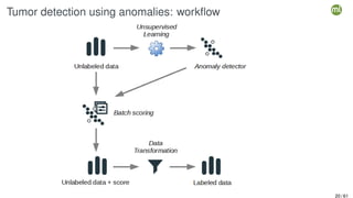 Tumor detection using anomalies: workflow
20 / 61
 