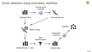 Tumor detection using anomalies: workflow
20 / 61
 