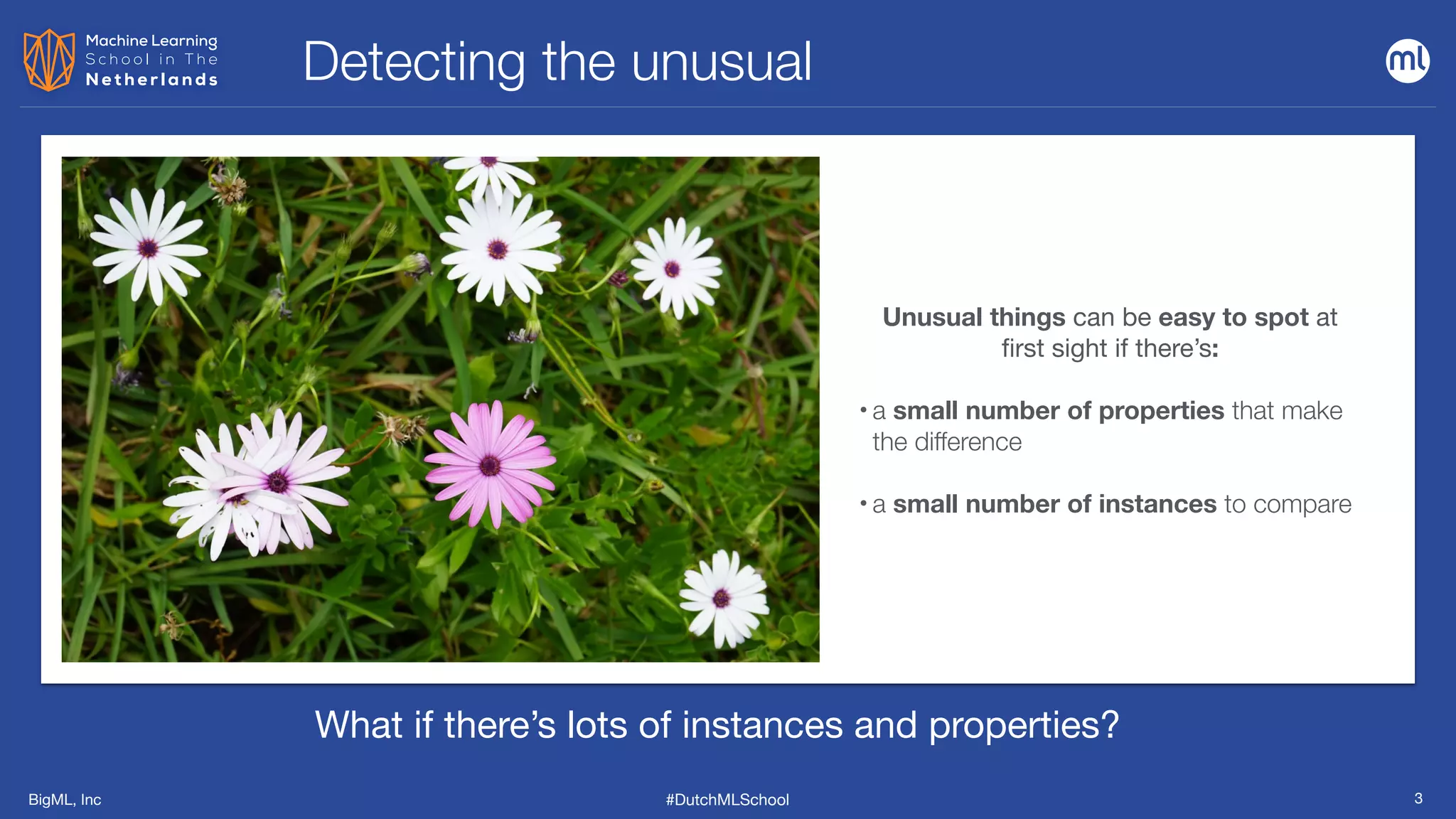 BigML, Inc #DutchMLSchool 3
Unusual things can be easy to spot at
first sight if there’s:
• a small number of properties that make
the difference
• a small number of instances to compare
Detecting the unusual
What if there’s lots of instances and properties?
 