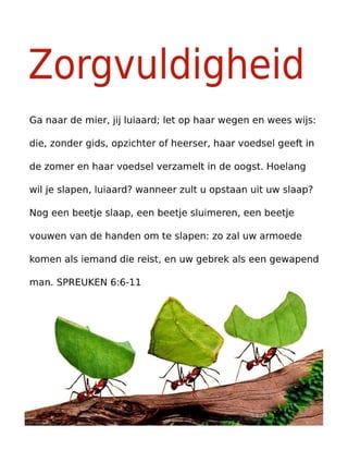 Dutch Motivational Diligence Tract.pdf