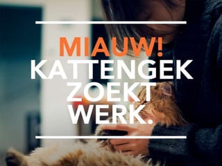 LinkedIn Voor Studenten: Top Vijf Profiel To-Do’s