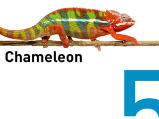 Chameleon
 