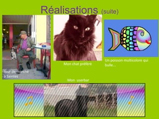 Réalisations (suite)
Mon chat préféré
Jour de marché
à Saintes
Un poisson multicolore qui
bulle...
Mon userbar
 