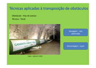 Técnicas aplicadas à transposição de obstáculos
 Obstáculo : Vias de acesso
 Técnica : Túnel




                                              Vantagem : não
                                                observada




                                            Desvantagem : custo



                 Fonte : Liderroll / 2010
 