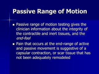 Active Range Of Motion Testing