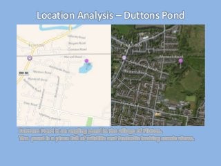 Location Analysis – Duttons Pond 
Duttons Pond is an angling pond in the village of Flixton. 
The pond is a place full of wildlife and fantastic looking scenic views. 
 