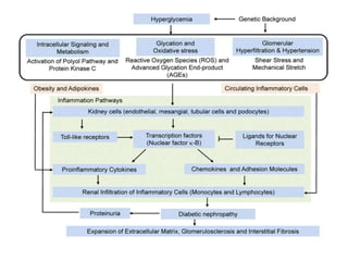 Chronic Kidney Diseases, DM and GERD