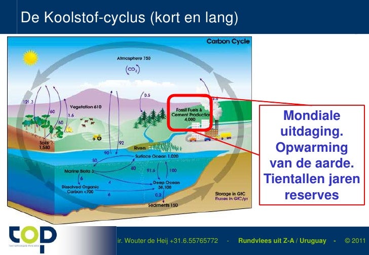 Duurzaamheid m.b.t. rundvlees uit Z-A