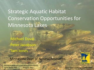 Strategic Aquatic Habitat
     Conservation Opportunities for
     Minnesota Lakes

        Michael Duval
        Peter Jacobson
        Tom Jones
       Minnesota Dept of Natural Resources
MN Association of Conservation Professionals
Camp Ripley, MN        March 2, 2012           Photo courtesy of Bill Lindner Photography
 